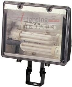 節(jié)能燈：照明扮靚你的家和花園(圖)